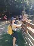 IMG-20250626-WA0040